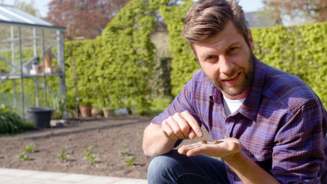 Gardening for beginners